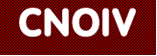 Newsletter n.º 40 - Foto 5